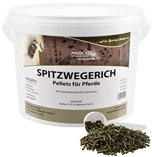 MIGOCKI SPITZWEGERICH – 1,5 kg – für Pferde – Reine Kräuter ohne Zusätze - Pellets von MIGOCKI