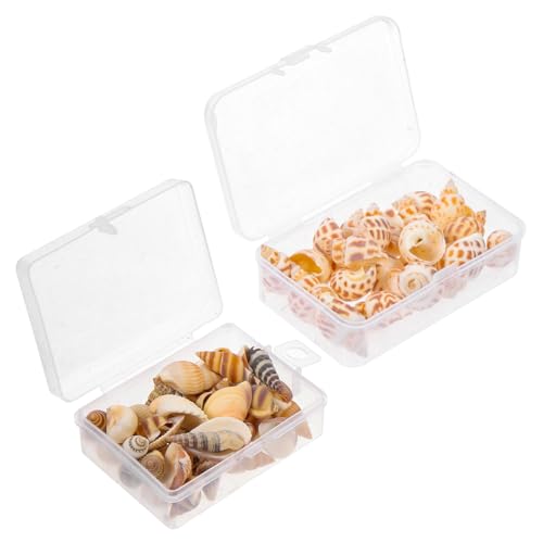 ANDRESLAD 2 Boxen Natürliche DIY Muscheln Boxen Meeresdeko Feine Conch Deko Für Aquarium Landschaftsbau Foto Requisite von ANDRESLAD