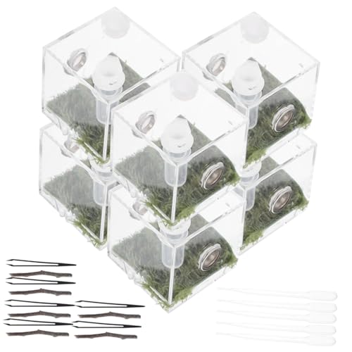 ANDRESLAD 2 Sätze Springspinne Zuchtbox aus Acryl mit Belüftung Sichere Futterbox für Insektenhaltung Praktische Habitat Box für Kleine Reptilien und Spinnen rutschfest und Robust ANDRESLAD 2 Sätze Springspinne Zuchtbox aus Acryl mit Belüftung Sichere Futterbox für Insektenhaltung Praktische Habitat Box für Kleine Reptilien und Spinnen rutschfest und Robust von ANDRESLAD