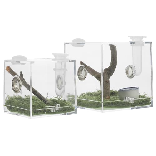 ANDRESLAD 2 Stück Teiliges Acryl Insekten Terrarium Transparente Aufzuchtbox für Springspinnen Vogelspinnen und Kleine Reptilien mit Feuchtigkeitskontrolle und Futteröffnung für von ANDRESLAD