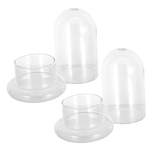 ANDRESLAD 2 Stück Teiliges DIY Mini landschafts Terrarium aus Hochwertigem Borosilikatglas Ökologisches Flaschengarten Öffnung für Miniaturpflanzen und Heimdekoration von ANDRESLAD
