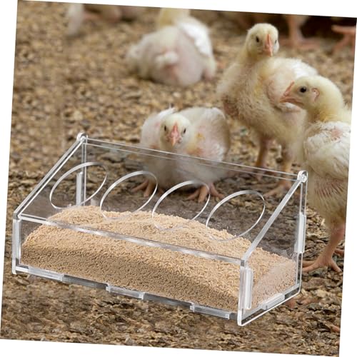 ANDRESLAD Acryl Futtertrog für Geflügel Futterautomat mit Großer Kapazität Robust Spritzschutz Vielseitiger Vogelfutterbehälter Geeignet für Tauben Hühner und Kleine Vögel von ANDRESLAD