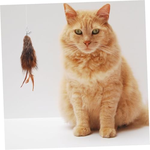 ANDRESLAD Austauschbare Katzenspielzeug Köpfe mit Bunten Federn Interaktive Katzenbeschäftigung für Wohnungskatzen Stimulierend und Langlebig zur Bekämpfung von Langeweile Jagdinstinkt ANDRESLAD Austauschbare Katzenspielzeug Köpfe mit Bunten Federn Interaktive Katzenbeschäftigung für Wohnungskatzen Stimulierend und Langlebig zur Bekämpfung von Langeweile Jagdinstinkt von ANDRESLAD