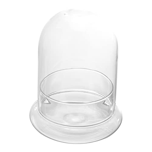 ANDRESLAD Terrarium-Glas Große Glasflasche Cloche Für Heimdekoration Und Landschaftsgestaltung ANDRESLAD Terrarium-Glas Große Glasflasche Cloche Für Heimdekoration Und Landschaftsgestaltung von ANDRESLAD