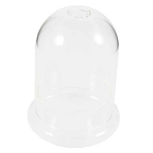 ANDRESLAD Glas Flaschen Mikro Landschaft Ökologische Flasche Bell Jar Dome Moos Pflanzflasche DIY Terrarium Kleine Glasvase für Innenraumdekoration ANDRESLAD Glas Flaschen Mikro Landschaft Ökologische Flasche Bell Jar Dome Moos Pflanzflasche DIY Terrarium Kleine Glasvase für Innenraumdekoration von ANDRESLAD