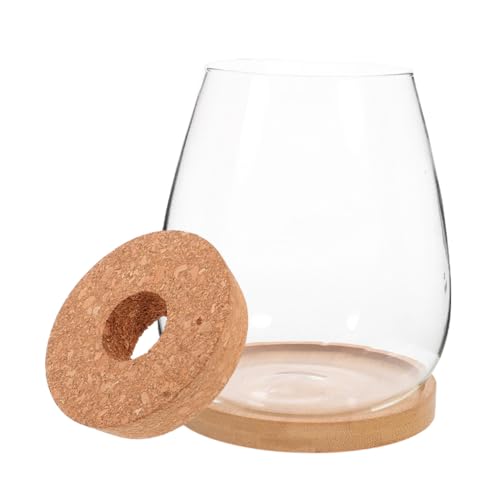 ANDRESLAD Glas Terrarium Pflanzgefäß Hydroponik Flaschengarten Transparentes Ökologisches Dekor für Tisch Balkon Büro DIY Mikro Landschaft Glasbehälter mit Belüftungsdeckel ANDRESLAD Glas Terrarium Pflanzgefäß Hydroponik Flaschengarten Transparentes Ökologisches Dekor für Tisch Balkon Büro DIY Mikro Landschaft Glasbehälter mit Belüftungsdeckel von ANDRESLAD
