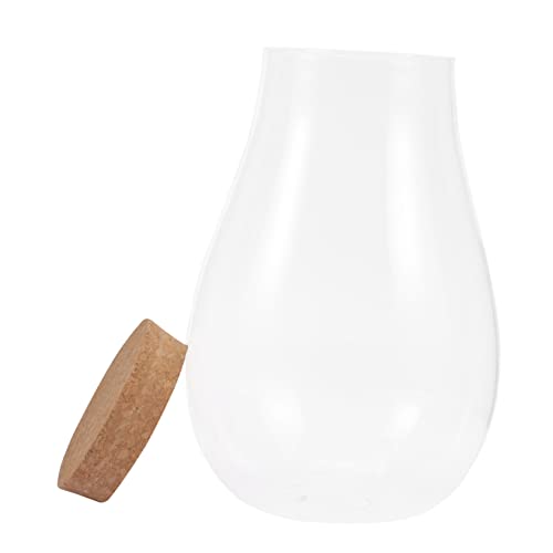 ANDRESLAD Hydroponischer Pflanzen Glasflasche Mikrolandschaft Terrarium mit Holzverschluss DIY Moos Flasche für Zimmerbegrünung Pflanzbehälter Vermehrungsstation ANDRESLAD Hydroponischer Pflanzen Glasflasche Mikrolandschaft Terrarium mit Holzverschluss DIY Moos Flasche für Zimmerbegrünung Pflanzbehälter Vermehrungsstation von ANDRESLAD