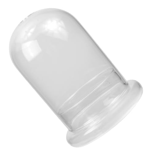 ANDRESLAD Micro Landscape Flasche Glas Ökologisch DIY Pflanzgefäß mit Öffnung Transparent für Moos und Pflanzen Dekoration Tischvase Wohnzimmer Büro Balkon ANDRESLAD Micro Landscape Flasche Glas Ökologisch DIY Pflanzgefäß mit Öffnung Transparent für Moos und Pflanzen Dekoration Tischvase Wohnzimmer Büro Balkon von ANDRESLAD