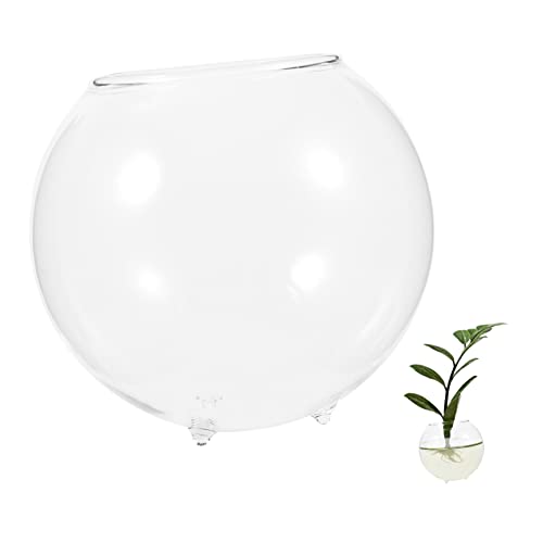 ANDRESLAD Micro-Landschaftsvase Fischtankdekor Fischglas für Aquarien Aquarienlicht Zubehör für Aquarien Schüsseln hochzeitsdeko hochzeitsdeco heimisches Fischglas Aquariumschale aus Glas von ANDRESLAD