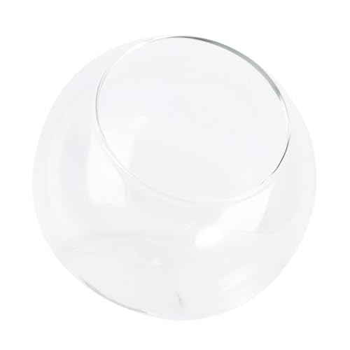 ANDRESLAD Mini Landschafts glasflasche Ø Dekoratives Terrarium Gefäß aus Hochwertigem Glas Mikro Natur Flasche für Pflanzen Wohnzimmer und Büro Dekoration von ANDRESLAD