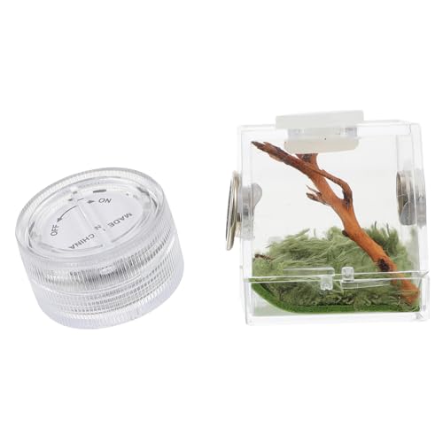ANDRESLAD Mini Spinnen Lebensraum Box Transparent Feuchtigkeitsresistent Atmungsaktiv für Springspinnen Zucht und Beobachtung Praktische Aufbewahrungsbox mit Beleuchtung für Insektenhalter von ANDRESLAD