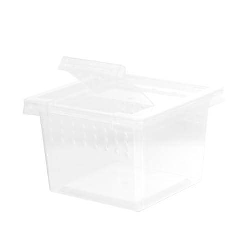 ANDRESLAD Transparente Reptilien aufzuchtbox aus Sicherem Kunststoff für Spinnen Eidechsen Schildkröten und Kleine Reptilien mit Ausreichendem Raum und Hoher Sichtbarkeit für Beobachtung ANDRESLAD Transparente Reptilien aufzuchtbox aus Sicherem Kunststoff für Spinnen Eidechsen Schildkröten und Kleine Reptilien mit Ausreichendem Raum und Hoher Sichtbarkeit für Beobachtung von ANDRESLAD