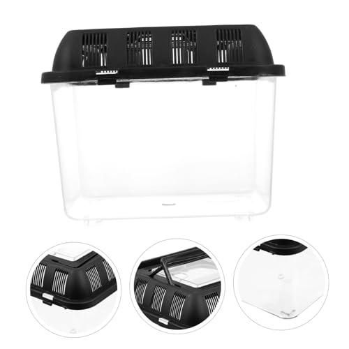 ANDRESLAD Transparente Tragbare Reptilien zuchtbox aus Robustem Mittelgroßes Feuchtigkeitsbeständiges Terrarium mit Handgriff als Anti ausbruch behälter für Spinnen Schlangen und Amphibien ANDRESLAD Transparente Tragbare Reptilien zuchtbox aus Robustem Mittelgroßes Feuchtigkeitsbeständiges Terrarium mit Handgriff als Anti ausbruch behälter für Spinnen Schlangen und Amphibien von ANDRESLAD