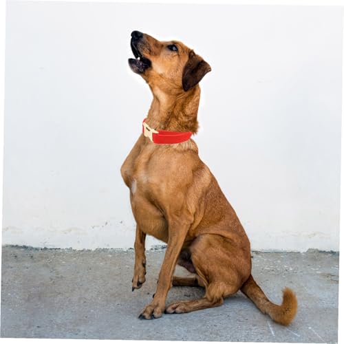 ANDRESLAD Verstellbares Haustierhalsband mit Metallverschluss Atmungsaktives Flexibles Material Geeignet für Kleine und Mittlere Hunde Modisches Design für Alltag und Besondere Anlässe von ANDRESLAD