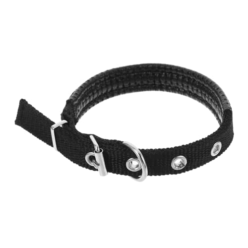 ANDRESLAD Verstellbares Verschleißfestes Haustierhalsband aus Weichem Polyester mit Robustem Legierungsschnallenverschluss Komfortabel für Hunde und Welpen Modisches Katzen Hundehalsband von ANDRESLAD