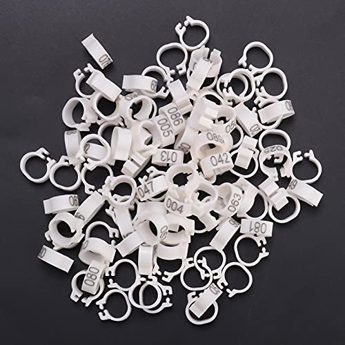 ANGGREK 100 Stück/Beutel, 8 Mm, Nummerierte Kunststoff-Beinbänder, Ringe für Brieftauben, aus Hochwertigem Material, Einfaches Clip-Design, Erhältlich in 6 Farben (Weiss) von ANGGREK