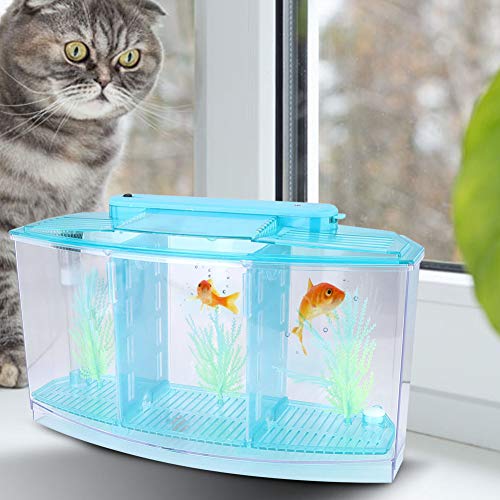 LED-Zucht-Isolationsbox, Acryl-Aquarium mit DREI Unterteilungen, Ungiftige Gräser, Wasserwechselventil für Kleine Fische (Blau) von ANGGREK