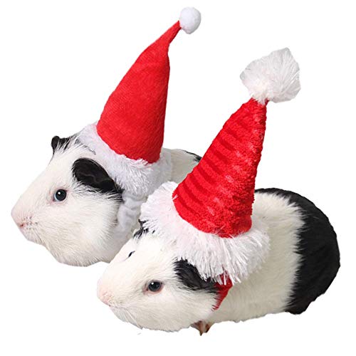 ANIAC 2 Stück Weihnachtsmütze für Hamster, Nikolausmütze, Kätzchen, Eichhörnchen, Rennmäuse und kleine Tiere von ANIAC