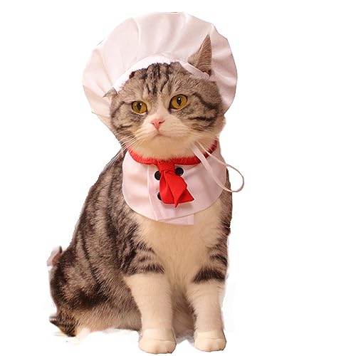 ANIAC Chefkoch-Hundekostüm für kleine Hunde, lustige Haustierkleidung mit Kochmütze und marineblauem Haustierhalsband, Set mit weißem Katzen-Outfit für Halloween, Cosplay, Verkleiden (A, L) von ANIAC