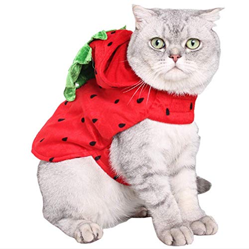 ANIAC Haustier-Halloween-Kostüm, roter Erdbeer-Hoodie, Weihnachtsmantel mit Hut, warmer Pullover, Weihnachtsmann-Poncho für Katzen und kleine Hunde von ANIAC