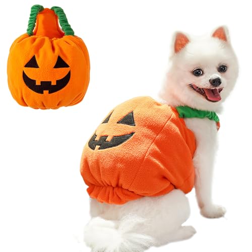 ANIAC Hunde-Kürbis-Kostüm, Halloween, Katze, Kürbis-Outfit, lustige Welpenkleidung für kleine Hunde, Haustier-Party, Cosplay-Zubehör (orangefarbene Clohes, klein) von ANIAC