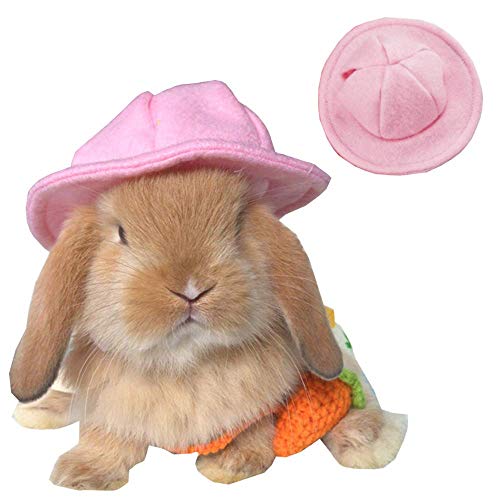 ANIAC Kleintier-Hut, Kaninchenmütze, Haustier-Kopfbedeckung, Zubehör für Frettchen, Meerschweinchen, Eichhörnchen, Kätzchen, Mini-Hunde und kleine Rassen (Pink) von ANIAC