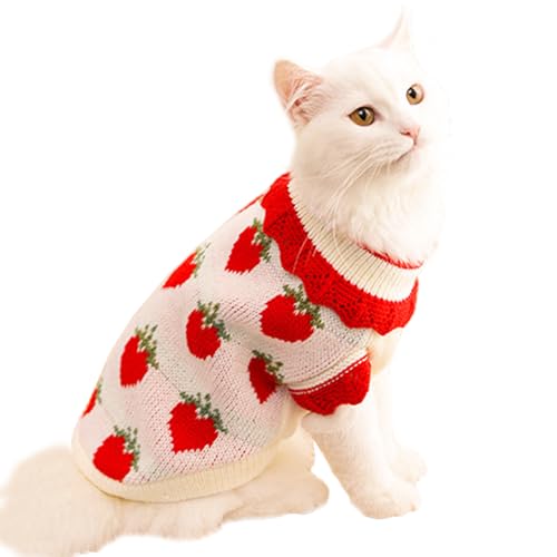 ANIAC Strawberry Rollkragenpullover für Katzen, warm, gestrickt, kleine Hundekleidung für Mädchen und Jungen, Herbst und Winter, Welpen-Outfit, kaltes Wetter, Haustier-Strickwaren für Chihuahua von ANIAC