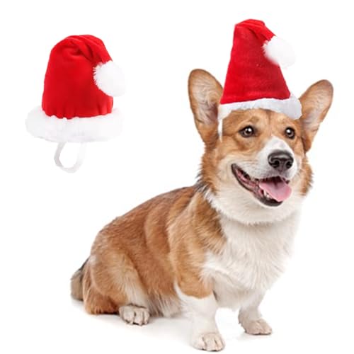 ANIAC Verstellbare 3D-Weihnachtsmütze für kleine Hunde und Katzen, Urlaubs-Haustierzubehör, Dekoration, Welpe, Weihnachtsanzug, Hunde-Weihnachtskostüm, Stirnband, Katzen-Weihnachtsmannmütze (rote ANIAC Verstellbare 3D-Weihnachtsmütze für kleine Hunde und Katzen, Urlaubs-Haustierzubehör, Dekoration, Welpe, Weihnachtsanzug, Hunde-Weihnachtskostüm, Stirnband, Katzen-Weihnachtsmannmütze (rote von ANIAC