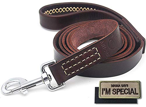 ANICOR Leder Hundeleine 1,8 m/6 ft Lange Heavy Duty Durable und Wrapped gepolsterter Griff Italien Premium-Rindleder nie verblassende Starke Führung für Groß Mittel Hunde Gehtraining ANICOR Leder Hundeleine 1,8 m/6 ft Lange Heavy Duty Durable und Wrapped gepolsterter Griff Italien Premium-Rindleder nie verblassende Starke Führung für Groß Mittel Hunde Gehtraining von ANICOR