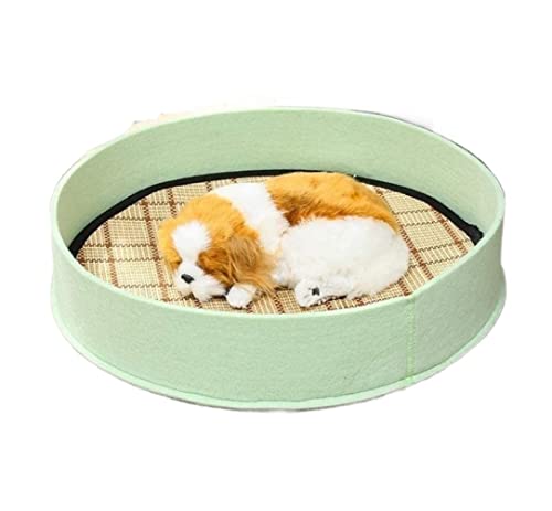 ANIIC Hundebett Katzenbett Kühlendes Beruhigendes Bett-Filz-Haustier-Bett-Sommer-schlafendes Hunde-Katzen-Bett-Zwinger Für Hunde Katzen HundeköRbchen Hundekissen (Color : Grün, Size : 40 * 40 * 8CM) ANIIC Hundebett Katzenbett Kühlendes Beruhigendes Bett-Filz-Haustier-Bett-Sommer-schlafendes Hunde-Katzen-Bett-Zwinger Für Hunde Katzen HundeköRbchen Hundekissen (Color : Grün, Size : 40 * 40 * 8CM) von ANIIC