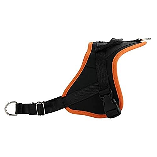 AnimoConcept Tier Multi Harnae Größe m Orange 1 Einheit AnimoConcept Tier Multi Harnae Größe m Orange 1 Einheit von ANIMALIN