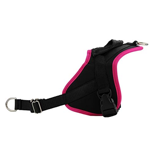 Hundegeschirr Classic | Zugentlastung | mit Kontrollgriff | Multifunktional | europäische Herstellung | Fuchsia | Größe XS von ANIMALIN