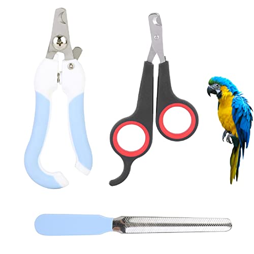 ANKROYU 2 Stück Vogel-Nagelknipser, Haustier Nagelknipser für Kleintiere, Höhepunkt Haustier Nagel Scherer Hunde, Nagelknipser Edelstahl Klauen Schneider, Nagelknipser und Klauenschneider Pflege-Tool von ANKROYU