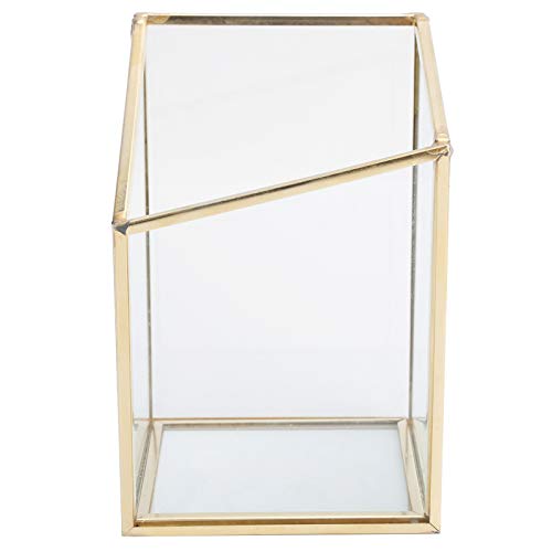 ANKROYU Glass Plant Holder, Copper Mini Glass Storage Container Flower Pot, Box Geometric Decorative Holder, Glass Plant Display Box for Home Decor ANKROYU Glass Plant Holder, Copper Mini Glass Storage Container Flower Pot, Box Geometric Decorative Holder, Glass Plant Display Box for Home Decor von ANKROYU