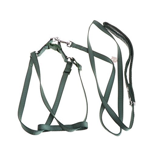 Vogelkabelbaumleine Für Haustier Flugtraining Easy Control Supplies Haustierkabelbaum Fliegende Katze Welpe Frettchen Schaufel Für Röhrchenfutterhäuschen von ANMITI