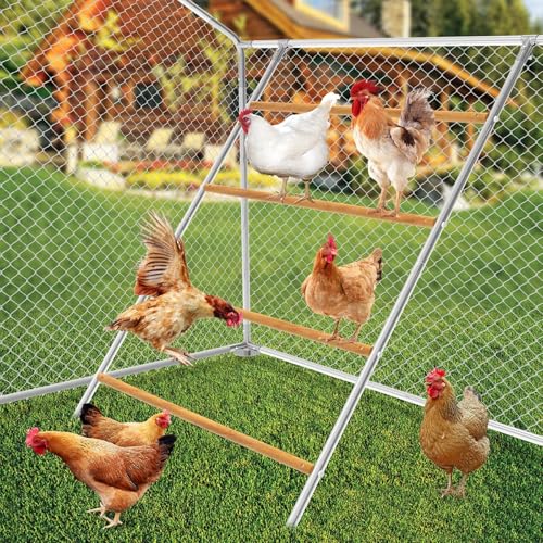 ANNDING Hühner-Sitzstange, große Hühner-Roosting-Stangen, Hahnspielzeug und Stallzubehör, perfekt für Hinterhof, Geflügel, Henne für Stall, Bauernhof-Kükenleiter, einfache Installation, 140 cm L x 102 ANNDING Hühner-Sitzstange, große Hühner-Roosting-Stangen, Hahnspielzeug und Stallzubehör, perfekt für Hinterhof, Geflügel, Henne für Stall, Bauernhof-Kükenleiter, einfache Installation, 140 cm L x 102 von ANNDING