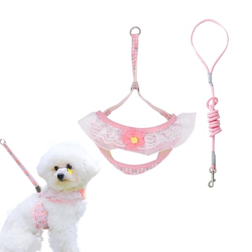 Katzengeschirr, Halsband und Leine, süßes Spitzenhalsband mit Blumenmuster, ausbruchsicher, Brustgeschirr, verstellbares süßes Geschirr, Leinen-Set für Katze, Welpen, Hunde, Spaziergänge im Freien von ANNUOZE