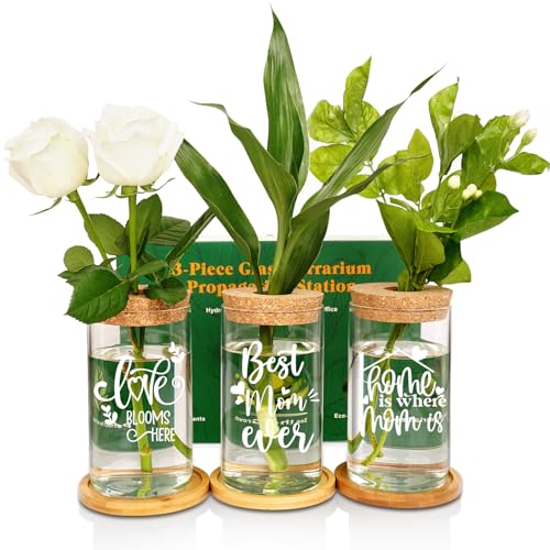 ANOTION Pflanzenvermehrung Glas-Terrarium-Set – Geschenke für Mutter, einzigartige Mutter, Geburtstagsgeschenke, Blumentöpfe, Pflanzgefäße mit Bambusständer, Pflanzgefäße für Zimmerpflanzen, von ANOTION