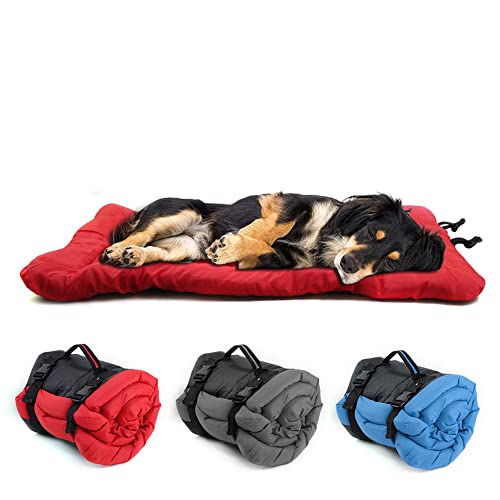 Orthopädisches Hundebett für Kleine Mittlere Große Hunde,wasserdichte Hundematte für Outdoor,Weiches Hundekorb Tierkissen Hundesofa Hundeliege Hundekissen tragbare Bettrolle für Haustiere,Faltbar Orthopädisches Hundebett für Kleine Mittlere Große Hunde,wasserdichte Hundematte für Outdoor,Weiches Hundekorb Tierkissen Hundesofa Hundeliege Hundekissen tragbare Bettrolle für Haustiere,Faltbar von ANQI
