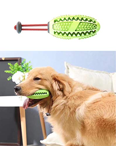 ANROD Hundebissspielzeug zur Zahnreinigung Futterverteilung IQ Ball Gummi Kauzahnbürste Beißfestes,Langlebig und für Kleine und Mittlere Hundeinteraktionen Geeignet (Grün) von ANROD