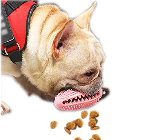 ANROD Hundebissspielzeug zur Zahnreinigung Futterverteilung IQ Ball Gummi Kauzahnbürste Beißfestes,Langlebig und für Kleine und Mittlere Hundeinteraktionen Geeignet (Pink) von ANROD
