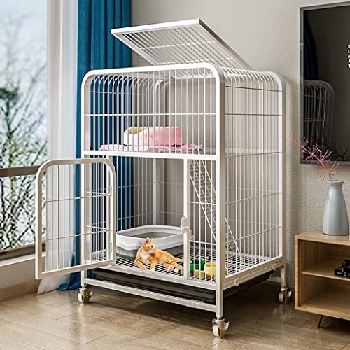 ANSNOW Doppelschichtige Zwinger Für Katzen, Katzenkäfig, Frettchenkäfig, Katzenhaus, Mit Riemenscheibenkäfig, Zweifarbiger Optionaler Käfig, Geeignet Für Kätzchen, Hunde, Kaninchen/Eine Farbe/Weiß 1 ANSNOW Doppelschichtige Zwinger Für Katzen, Katzenkäfig, Frettchenkäfig, Katzenhaus, Mit Riemenscheibenkäfig, Zweifarbiger Optionaler Käfig, Geeignet Für Kätzchen, Hunde, Kaninchen/Eine Farbe/Weiß 1 von ANSNOW