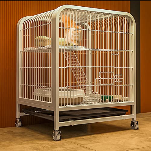 ANSNOW Katzenkäfig Aus Metall, Laufstall Für Katzen, Haustierkäfig Mit Tablett, Gehege Für Kleintiere Mit 4 Lenkrollen, Zusammenklappbare Zwinger Aus Metall Für Katzen, Kätzchen, Frettchen, Großer Ü ANSNOW Katzenkäfig Aus Metall, Laufstall Für Katzen, Haustierkäfig Mit Tablett, Gehege Für Kleintiere Mit 4 Lenkrollen, Zusammenklappbare Zwinger Aus Metall Für Katzen, Kätzchen, Frettchen, Großer Ü von ANSNOW