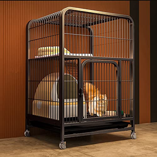 ANSNOW Katzenkäfig Aus Metall, Laufstall Für Katzen, Haustierkäfig Mit Tablett, Gehege Für Kleintiere Mit 4 Lenkrollen, Zusammenklappbare Zwinger Aus Metall Für Katzen, Kätzchen, Frettchen, Großer Ü ANSNOW Katzenkäfig Aus Metall, Laufstall Für Katzen, Haustierkäfig Mit Tablett, Gehege Für Kleintiere Mit 4 Lenkrollen, Zusammenklappbare Zwinger Aus Metall Für Katzen, Kätzchen, Frettchen, Großer Ü von ANSNOW