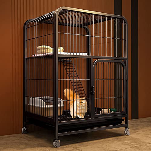 ANSNOW Katzenkäfig Aus Metall, Laufstall Für Katzen, Haustierkäfig Mit Tablett, Gehege Für Kleintiere Mit 4 Lenkrollen, Zusammenklappbare Zwinger Aus Metall Für Katzen, Kätzchen, Frettchen, Großer Ü ANSNOW Katzenkäfig Aus Metall, Laufstall Für Katzen, Haustierkäfig Mit Tablett, Gehege Für Kleintiere Mit 4 Lenkrollen, Zusammenklappbare Zwinger Aus Metall Für Katzen, Kätzchen, Frettchen, Großer Ü von ANSNOW