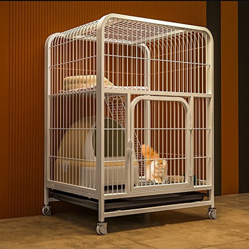 ANSNOW Katzenkäfig Aus Metall, Laufstall Für Katzen, Haustierkäfig Mit Tablett, Gehege Für Kleintiere Mit 4 Lenkrollen, Zusammenklappbare Zwinger Aus Metall Für Katzen, Kätzchen, Frettchen, Großer Ü ANSNOW Katzenkäfig Aus Metall, Laufstall Für Katzen, Haustierkäfig Mit Tablett, Gehege Für Kleintiere Mit 4 Lenkrollen, Zusammenklappbare Zwinger Aus Metall Für Katzen, Kätzchen, Frettchen, Großer Ü von ANSNOW