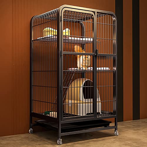 ANSNOW Katzenkäfig Aus Metall, Laufstall Für Katzen, Haustierkäfig Mit Tablett, Gehege Für Kleintiere Mit 4 Lenkrollen, Zusammenklappbare Zwinger Aus Metall Für Katzen, Kätzchen, Frettchen, Großer Ü ANSNOW Katzenkäfig Aus Metall, Laufstall Für Katzen, Haustierkäfig Mit Tablett, Gehege Für Kleintiere Mit 4 Lenkrollen, Zusammenklappbare Zwinger Aus Metall Für Katzen, Kätzchen, Frettchen, Großer Ü von ANSNOW