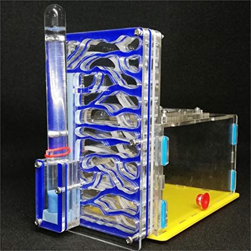 ANT GRAPE Ameisenfarm Vivarium für Ameisen, Insekten, Villa Mania, für Haustiere, Blau, Acryl von ANT GRAPE