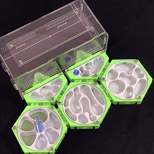ANT GRAPE NEU 3D Print Formicarium Ameisenfarm Raumstation mit Feuchtigkeitsturm Unbegrenzte Erweiterung Ameisennest Pet Anthill Workshop (A) von ANT GRAPE
