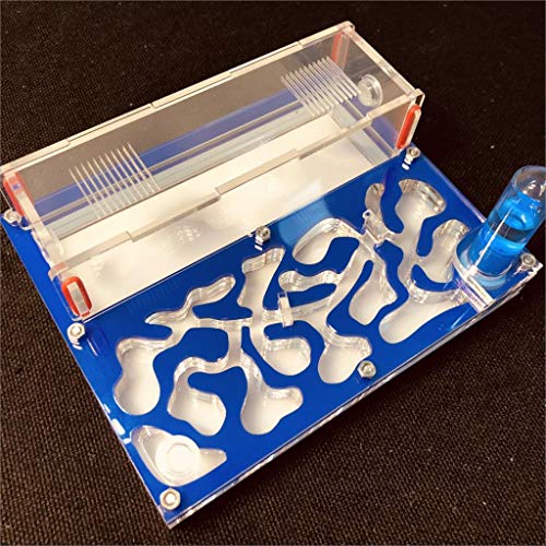 Ant Farm Educational Formicarium für LIVE Ameisen Reagenzglas Feuchtigkeit großer Raum Acryl Ameisennest, Insektenameisen Villa House Ants Ecological Workshop (Blau) von ANT GRAPE